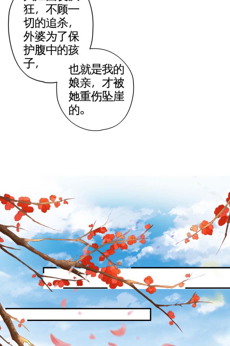 【半妖王妃】漫画-（锦桃传承的记忆）章节漫画下拉式图片-28.jpg