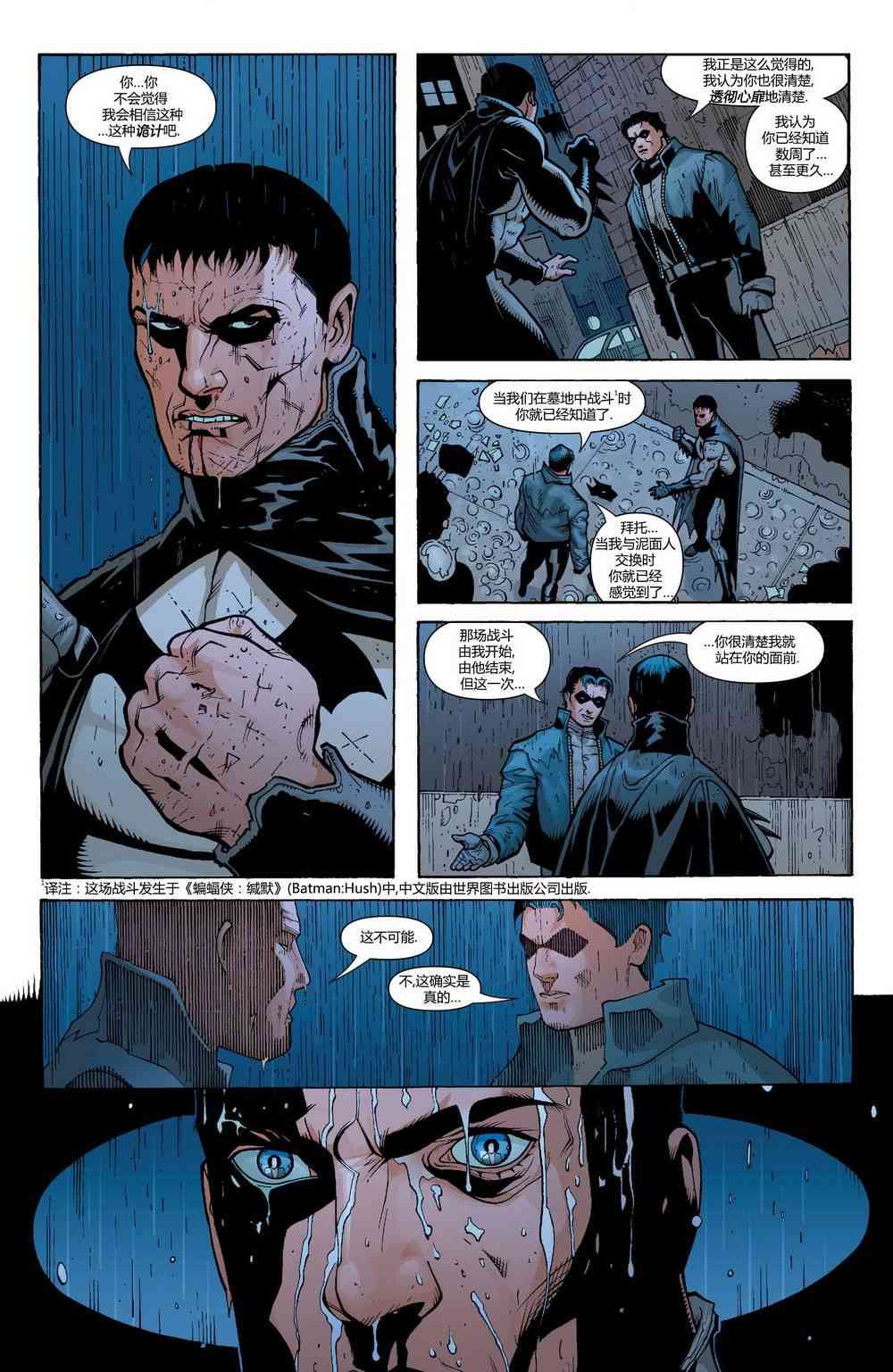 【蝙蝠侠】漫画-（第641卷家庭重聚#3）章节漫画下拉式图片-17.jpg