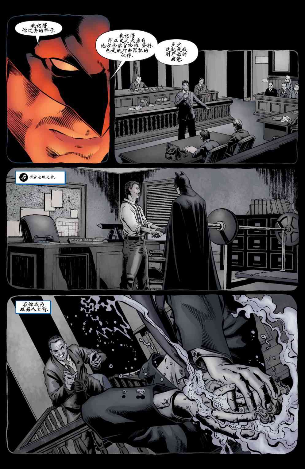【蝙蝠侠】漫画-（第653卷）章节漫画下拉式图片-10.jpg