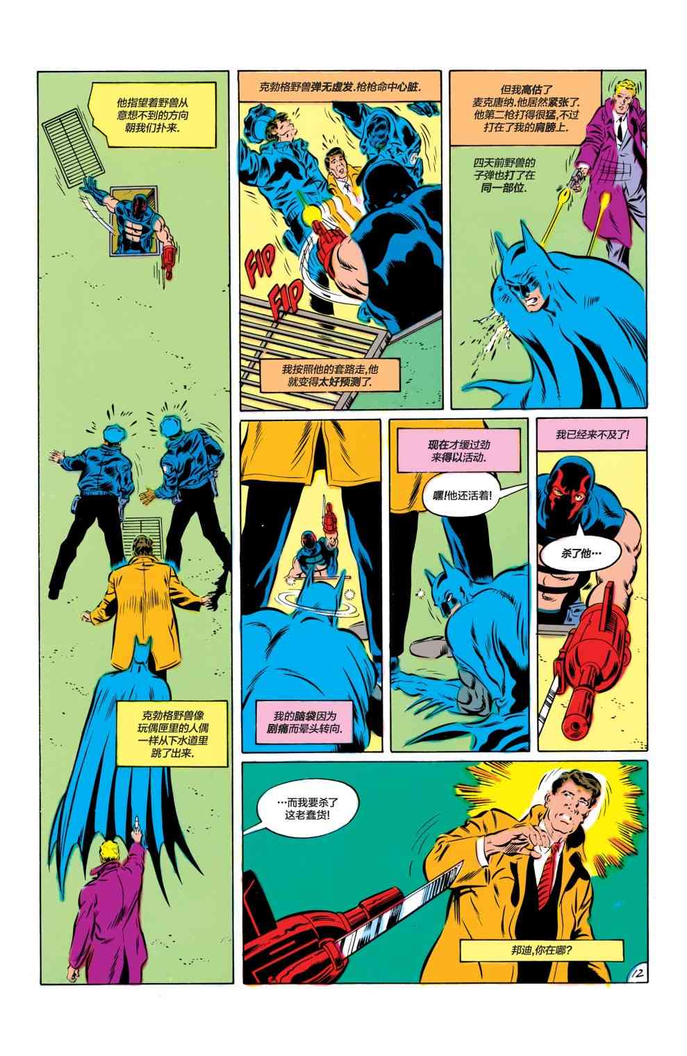 【蝙蝠侠】漫画-（第420卷）章节漫画下拉式图片-13.jpg
