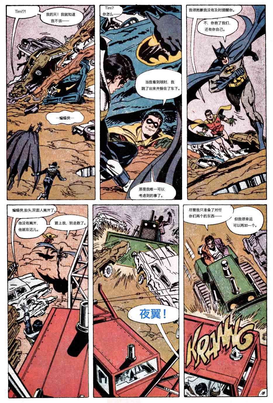 【蝙蝠侠】漫画-（第442卷孤独死亡之所#5）章节漫画下拉式图片-19.jpg