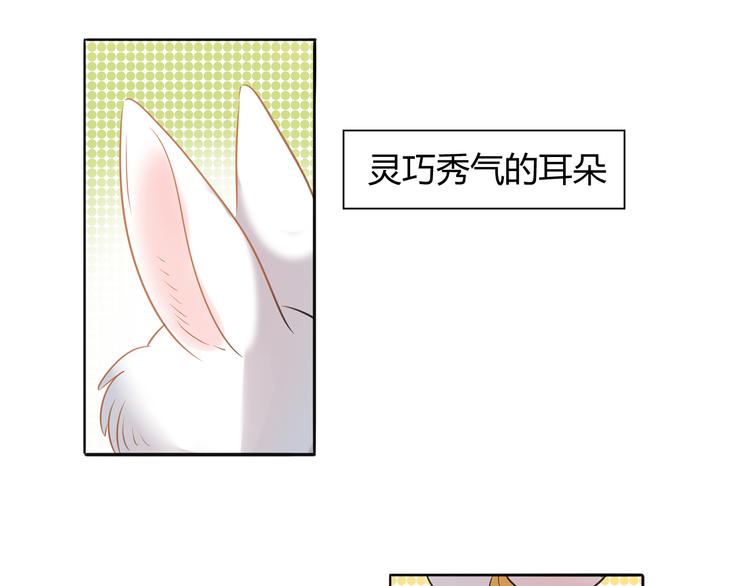 【别碰我的兔子君】漫画-（第1话 兔子不能吃巧克力？）章节漫画下拉式图片-7.jpg