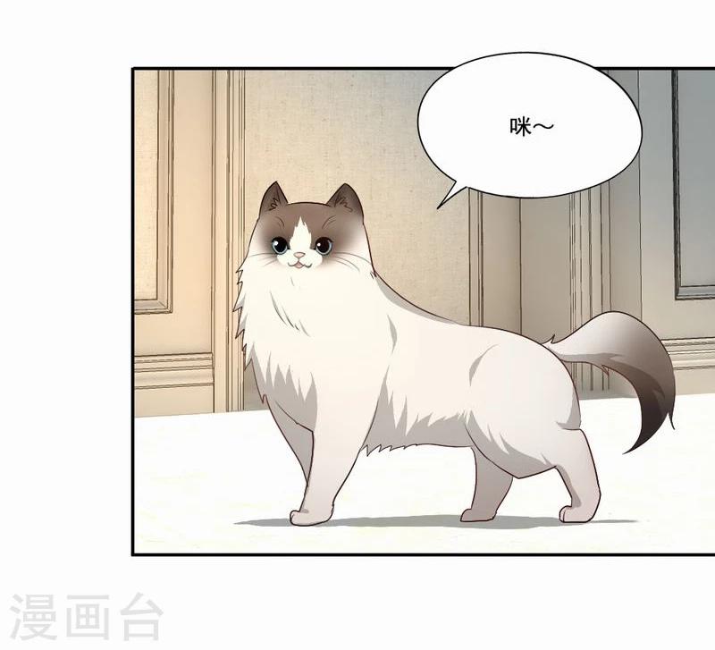 【倒数七天】漫画-（第53话 求助猫大王）章节漫画下拉式图片-11.jpg