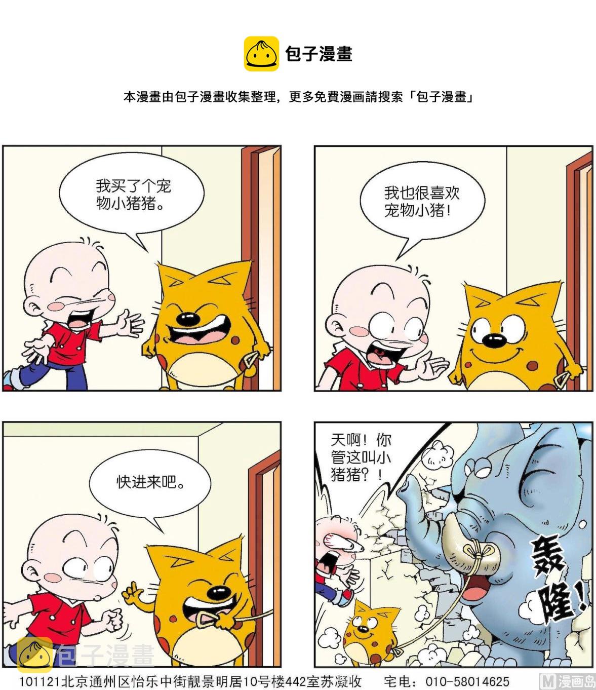 【奇奇娃与蛋蛋猫】漫画-（第211话）章节漫画下拉式图片-第1张图片