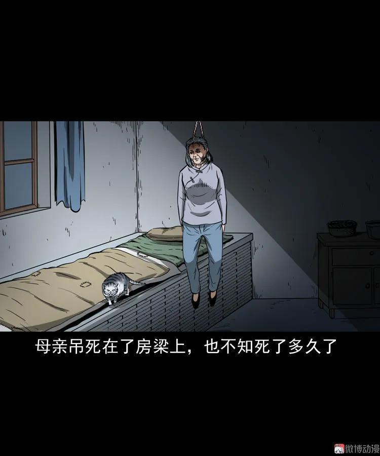 【三老爷诡事会】漫画-（猫老太事件）章节漫画下拉式图片-27.jpg
