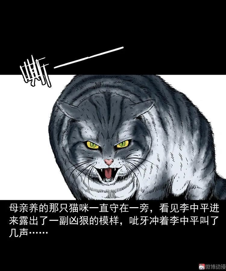 【三老爷诡事会】漫画-（猫老太事件）章节漫画下拉式图片-28.jpg