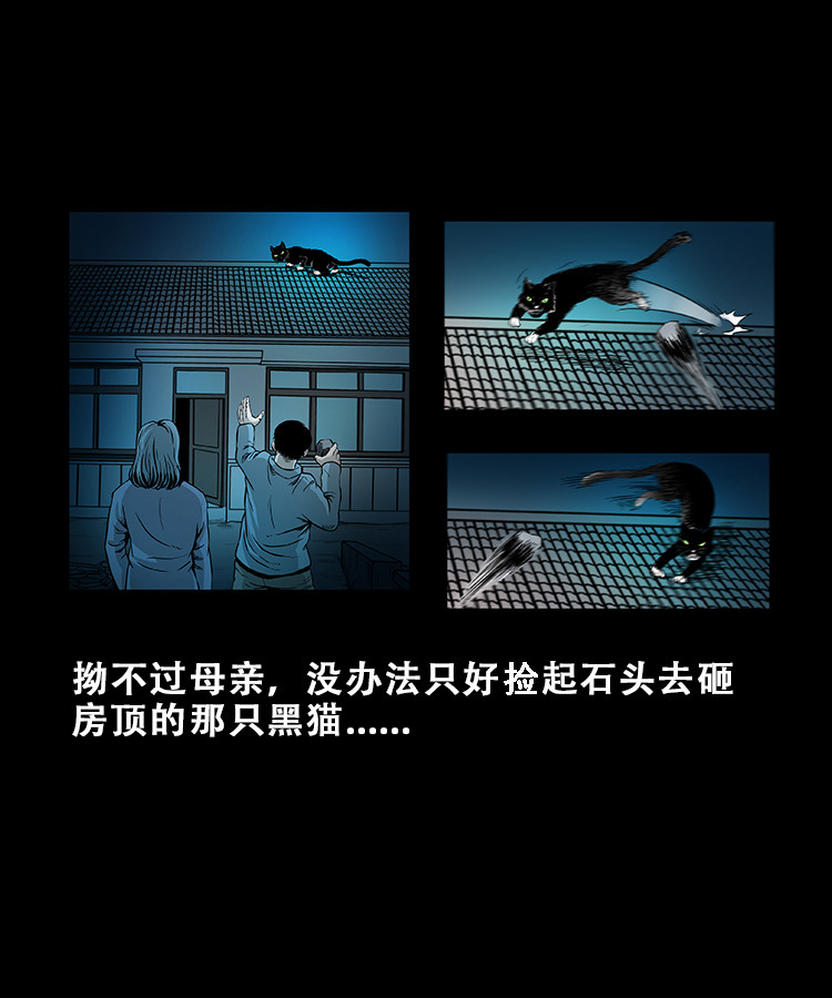【三老爷诡事会】漫画-（黑猫）章节漫画下拉式图片-10.jpg