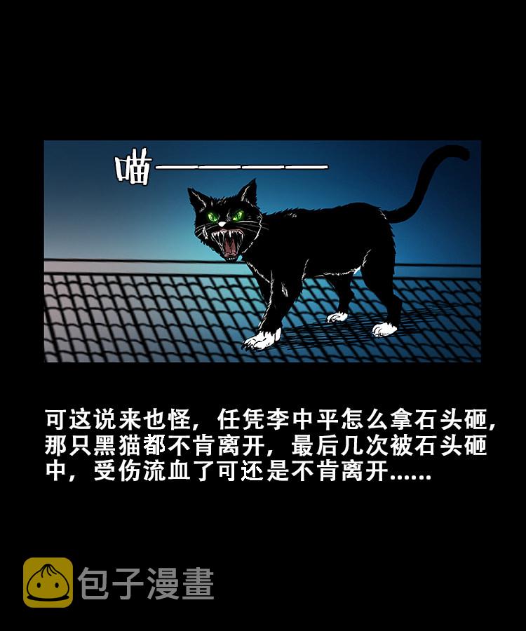 【三老爷诡事会】漫画-（黑猫）章节漫画下拉式图片-11.jpg