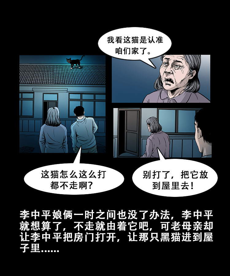 【三老爷诡事会】漫画-（黑猫）章节漫画下拉式图片-12.jpg