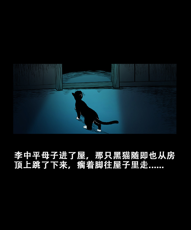 【三老爷诡事会】漫画-（黑猫）章节漫画下拉式图片-13.jpg