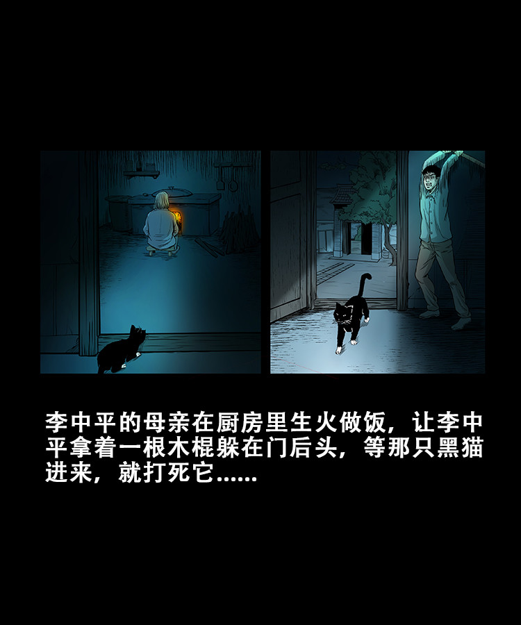 【三老爷诡事会】漫画-（黑猫）章节漫画下拉式图片-第14张图片