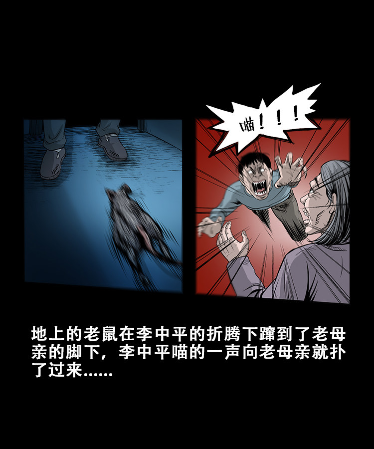 【三老爷诡事会】漫画-（黑猫）章节漫画下拉式图片-第29张图片