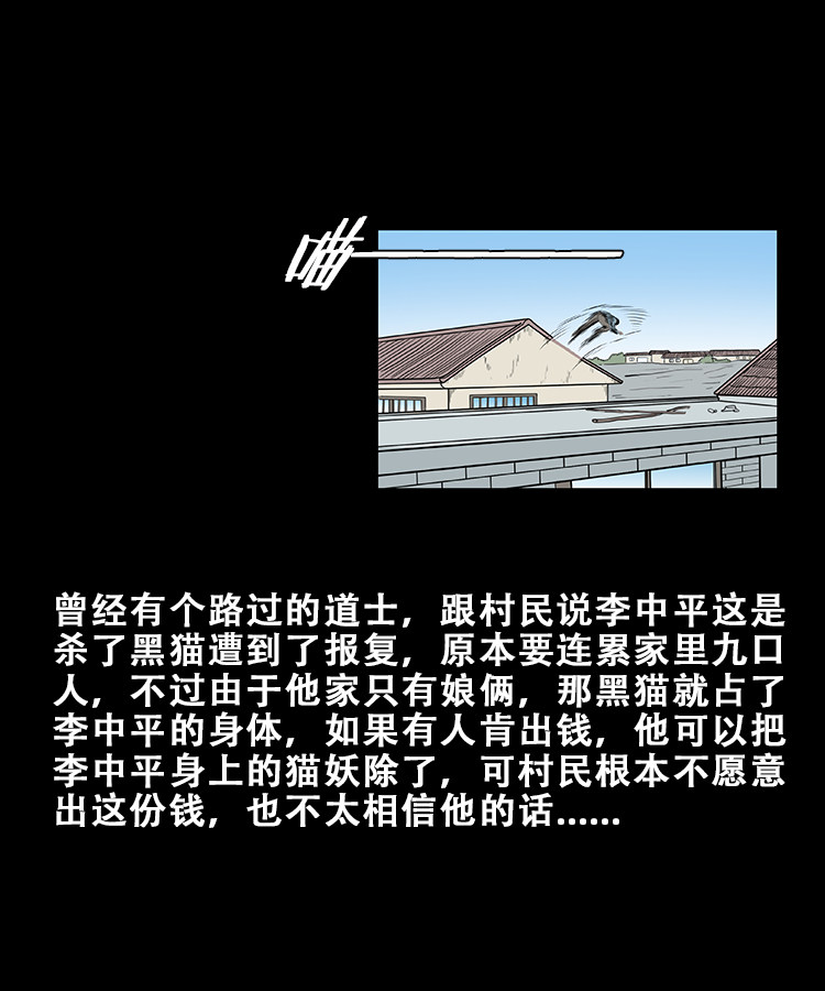 【三老爷诡事会】漫画-（黑猫）章节漫画下拉式图片-41.jpg