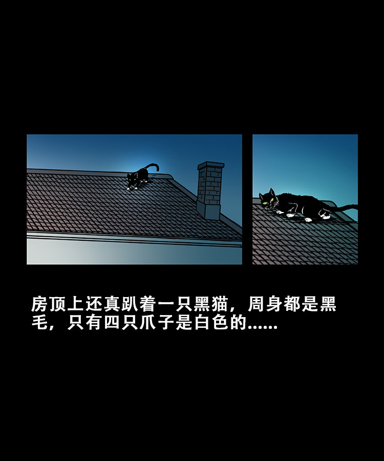 【三老爷诡事会】漫画-（黑猫）章节漫画下拉式图片-7.jpg