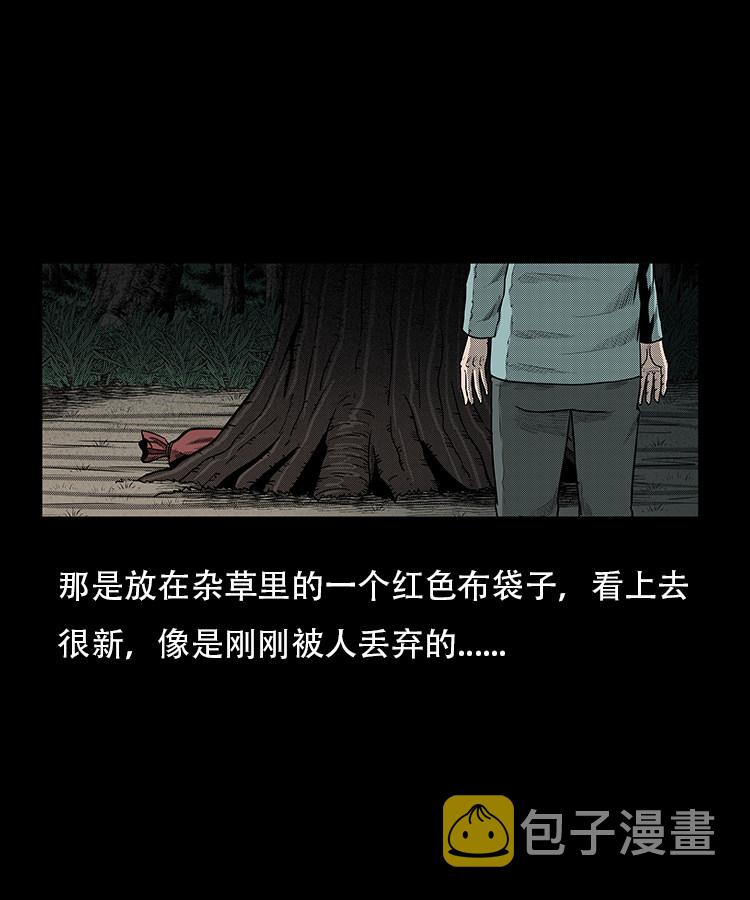 【三老爷诡事会】漫画-（红布袋）章节漫画下拉式图片-14.jpg