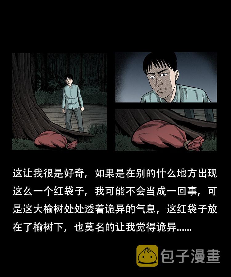 【三老爷诡事会】漫画-（红布袋）章节漫画下拉式图片-15.jpg