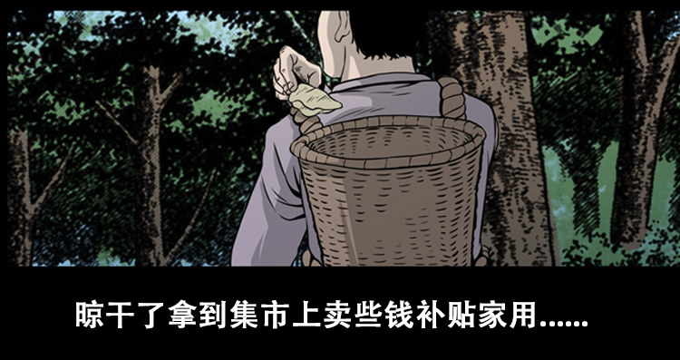 【三老爷诡事会】漫画-（北瓜（上））章节漫画下拉式图片-5.jpg