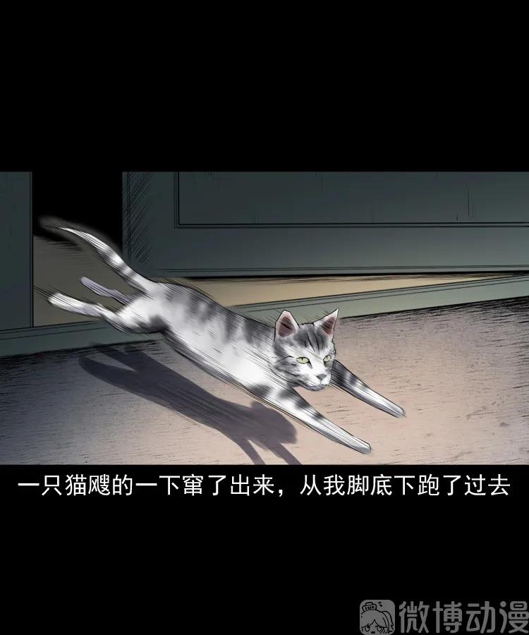 【三老爷诡事会】漫画-（白头翁之猫灵）章节漫画下拉式图片-11.jpg