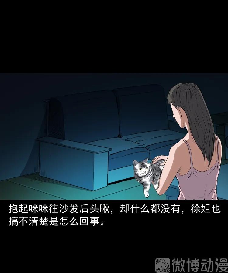 【三老爷诡事会】漫画-（白头翁之猫灵）章节漫画下拉式图片-38.jpg
