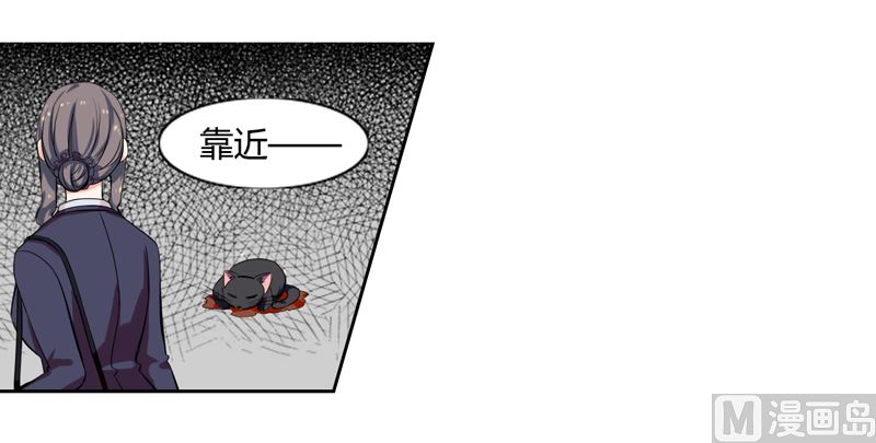 【在下铲屎官 喵王在上】漫画-（第1话 夜遇死猫？）章节漫画下拉式图片-7.jpg