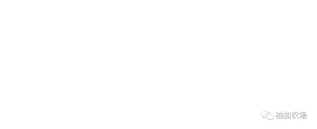 【海葵剧场/银莲花剧场[耽美]】漫画-（第41话）章节漫画下拉式图片-19.jpg