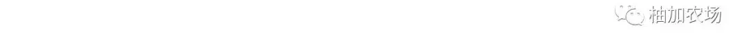 【海葵剧场/银莲花剧场[耽美]】漫画-（第41话）章节漫画下拉式图片-7.jpg
